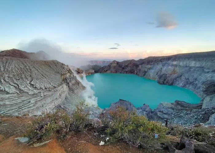 Javalindra Homestay&Banyuwangi Tour