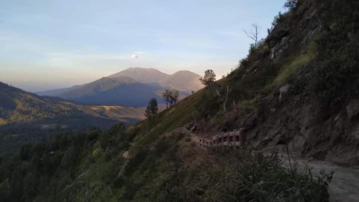 Javalindra Homestay&banyuwangi Tour Homestay Banyuwangi (East Java)