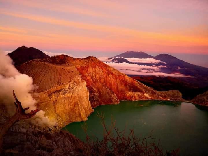 Javalindra Homestay&banyuwangi Tour Homestay *