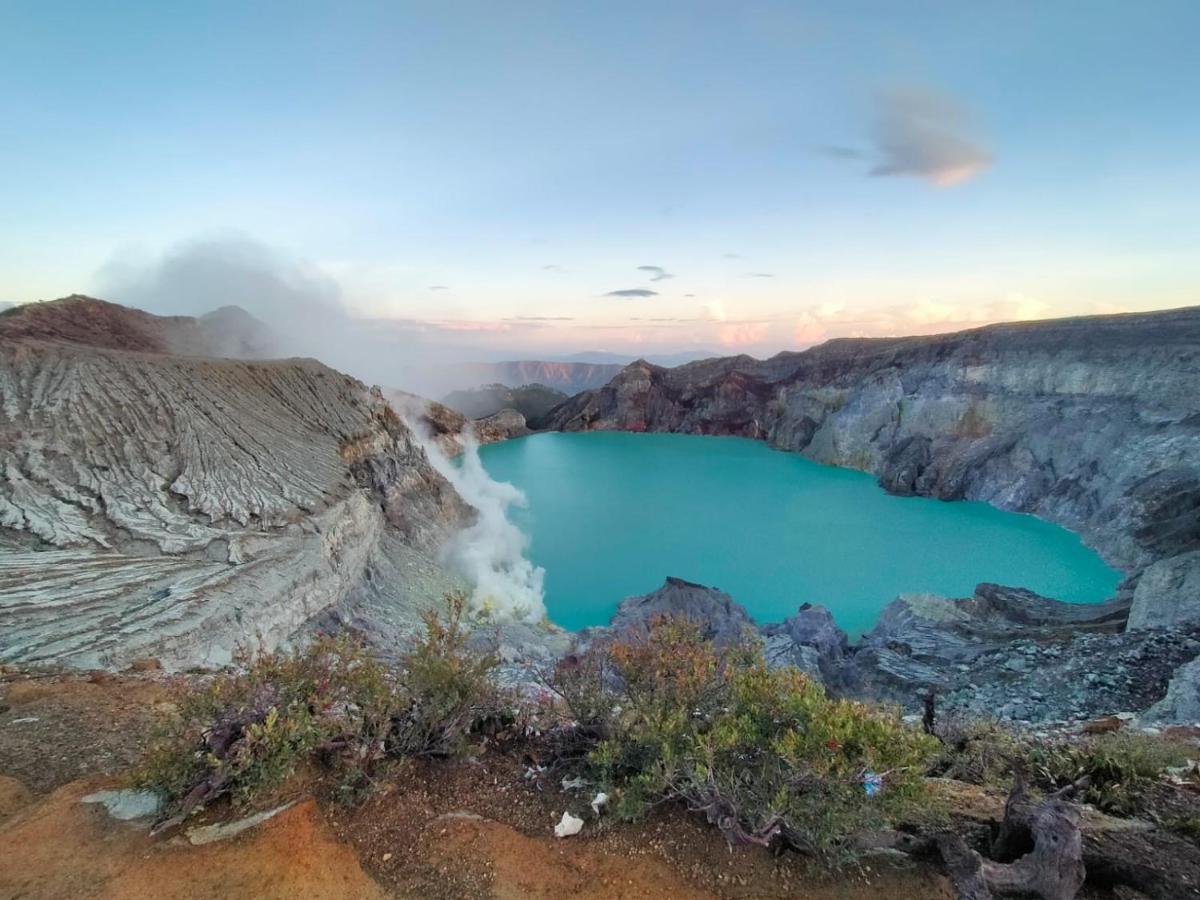 Homestay Javalindra Homestay&banyuwangi Tour