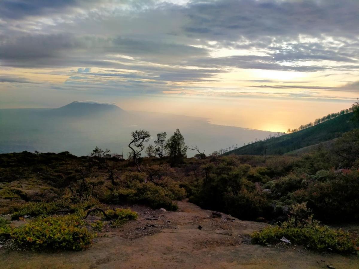 Homestay Javalindra Homestay&banyuwangi Tour Banyuwangi (East Java)