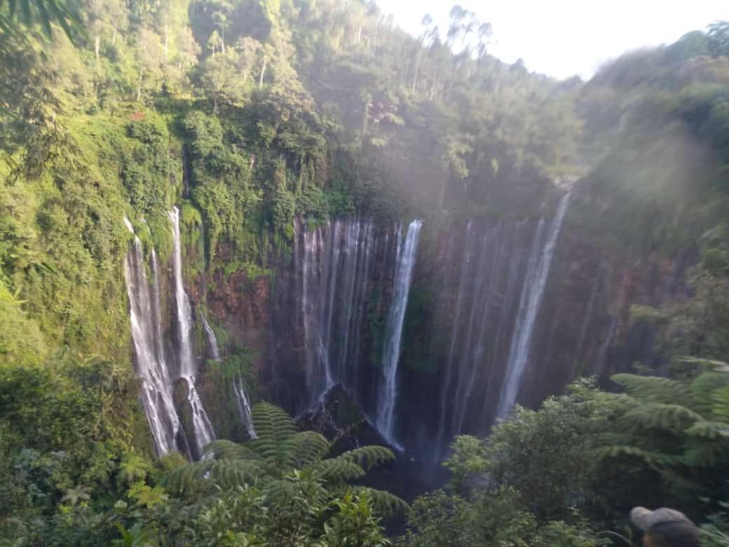 Homestay Javalindra Homestay&banyuwangi Tour