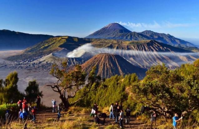 Javalindra Homestay&banyuwangi Tour Homestay Banyuwangi (East Java)