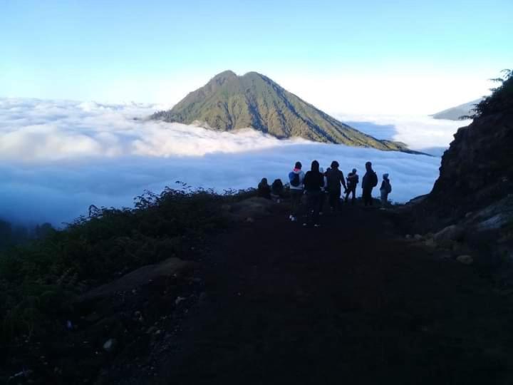Homestay Javalindra Homestay&banyuwangi Tour