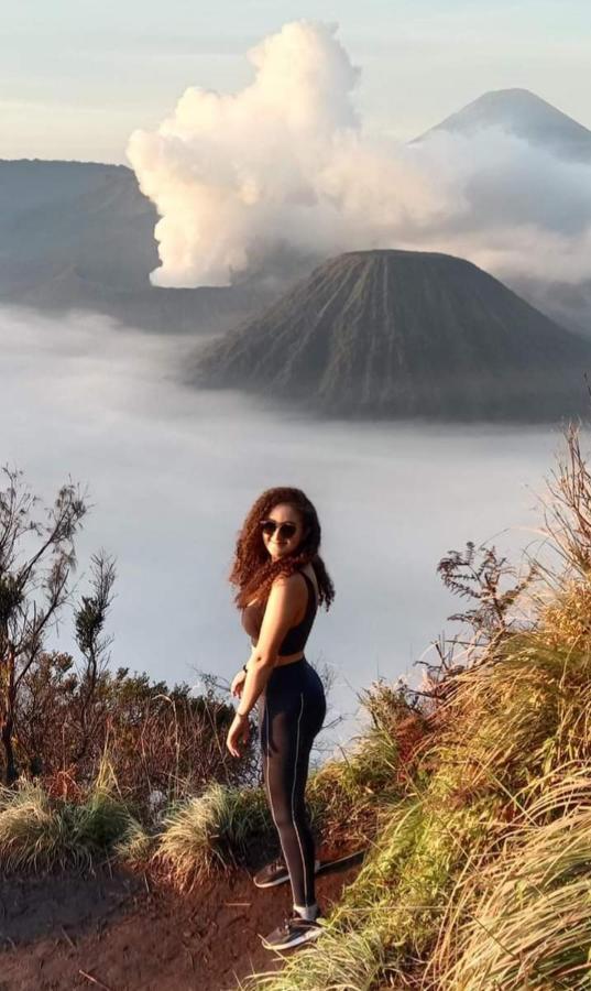 Javalindra Homestay&banyuwangi Tour *
