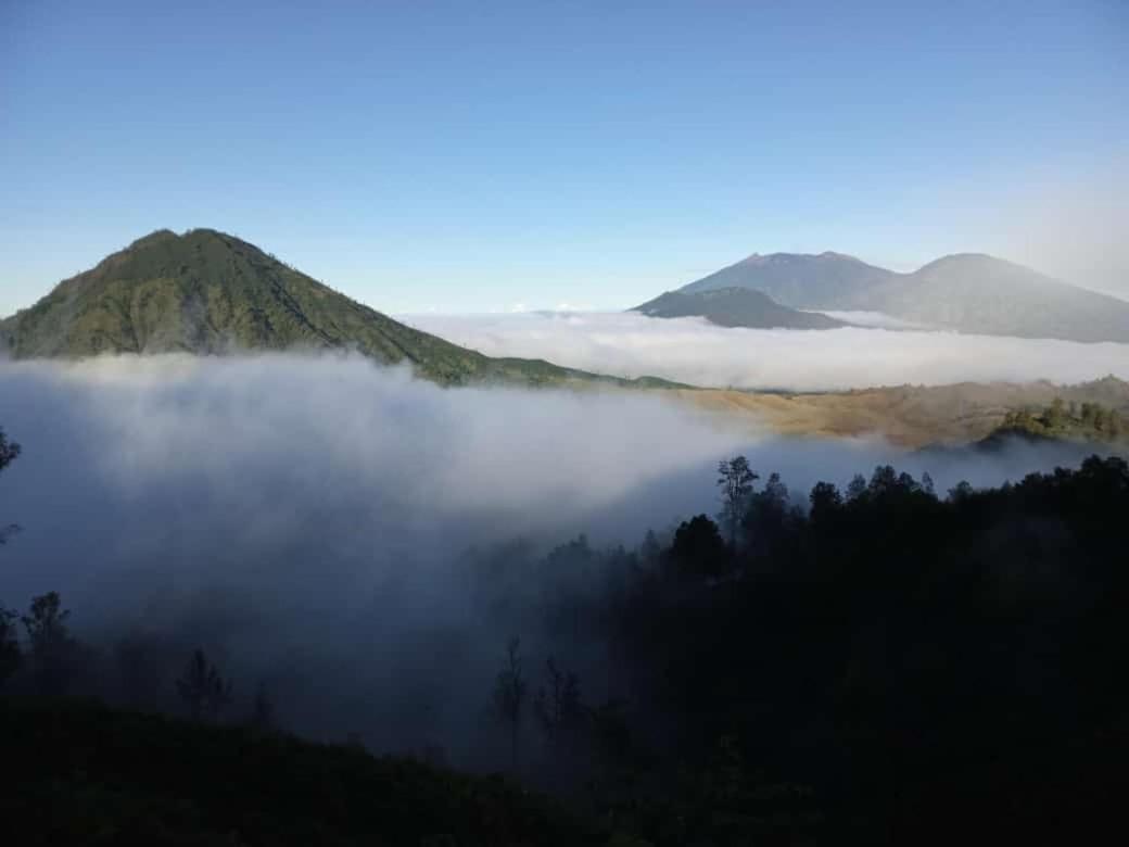 Javalindra Homestay&banyuwangi Tour *