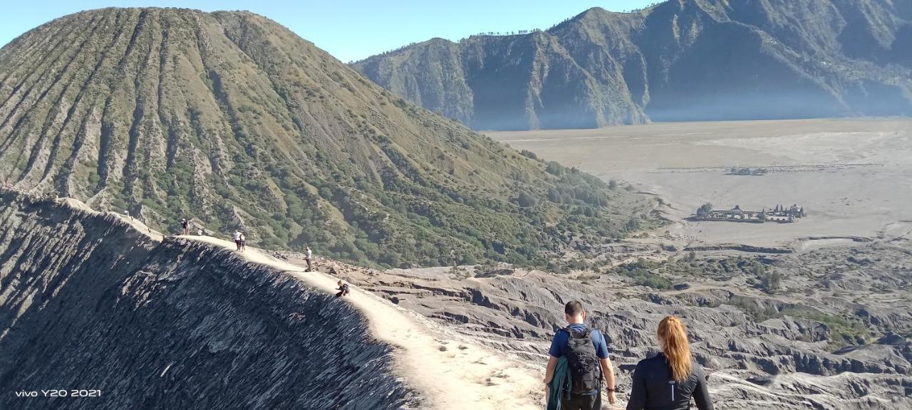 Javalindra Homestay&banyuwangi Tour Homestay