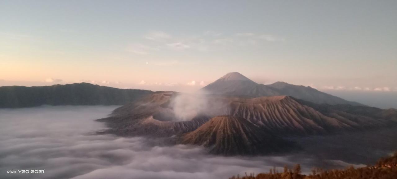 Homestay Javalindra Homestay&banyuwangi Tour *