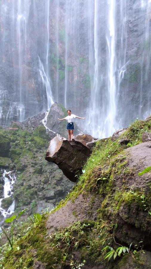 Javalindra Homestay&banyuwangi Tour *
