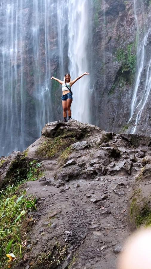 Javalindra Homestay&banyuwangi Tour
