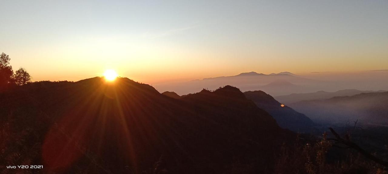 Javalindra Homestay&banyuwangi Tour *