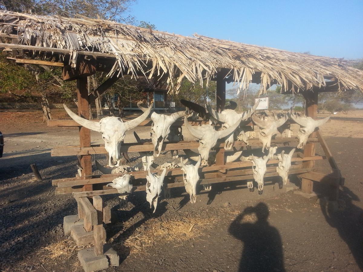 Homestay Javalindra Homestay&banyuwangi Tour