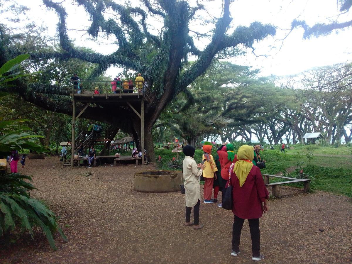 Javalindra Homestay&banyuwangi Tour Homestay