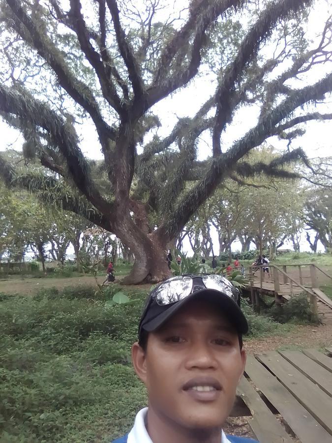 Javalindra Homestay&banyuwangi Tour Homestay Banyuwangi (East Java)